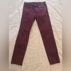 Express Burgundy Skinny men’s stretchy Pants size 30 x 32